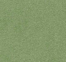 Ковролин Radici Nexus Lichene 8225 фото 1 | FLOORDEALER